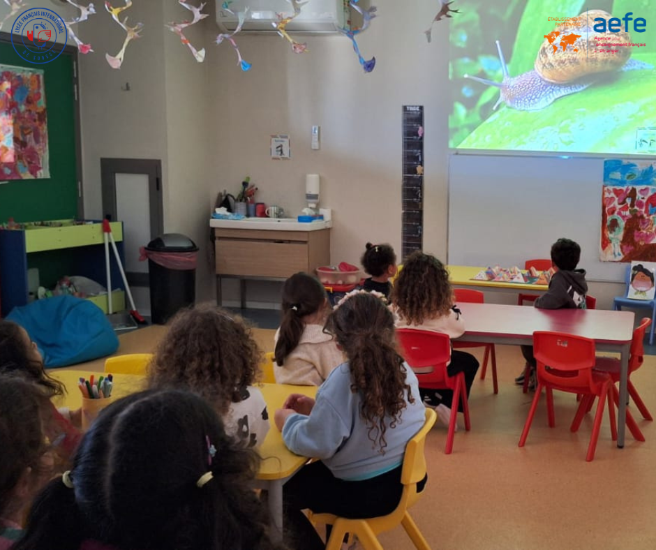 🐌 Découverte des escargots en maternelle ! 🌿 