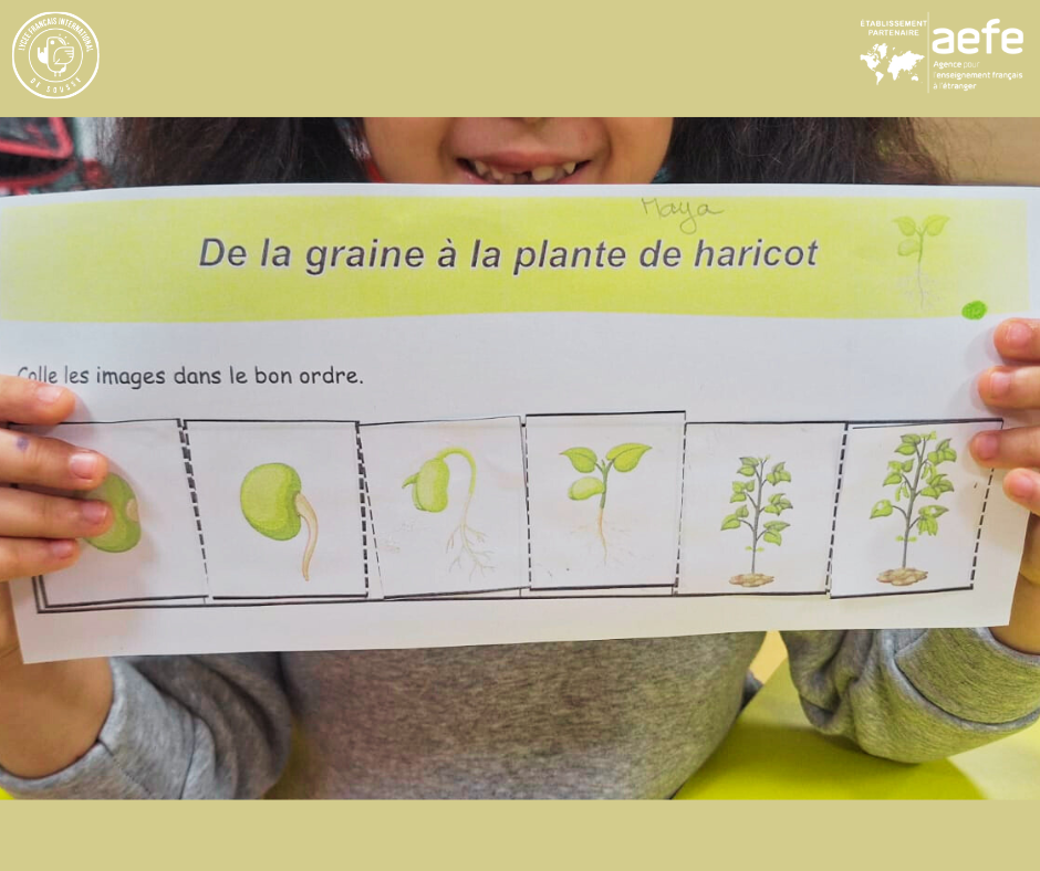 🌸 Le printemps s'invite en maternelle 🌱 